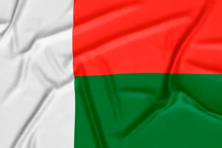 A picture of a silk Malagasy flag