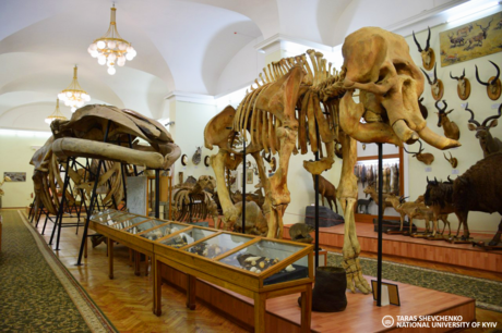 A photograph of the Taras Shevchenko National University of Kyiv zoo museum.