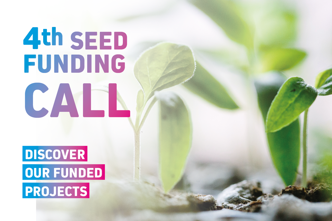 The picture shows a few green seedling in the background and the text "Fourth Seed Funding Call: Discover our funded projects".