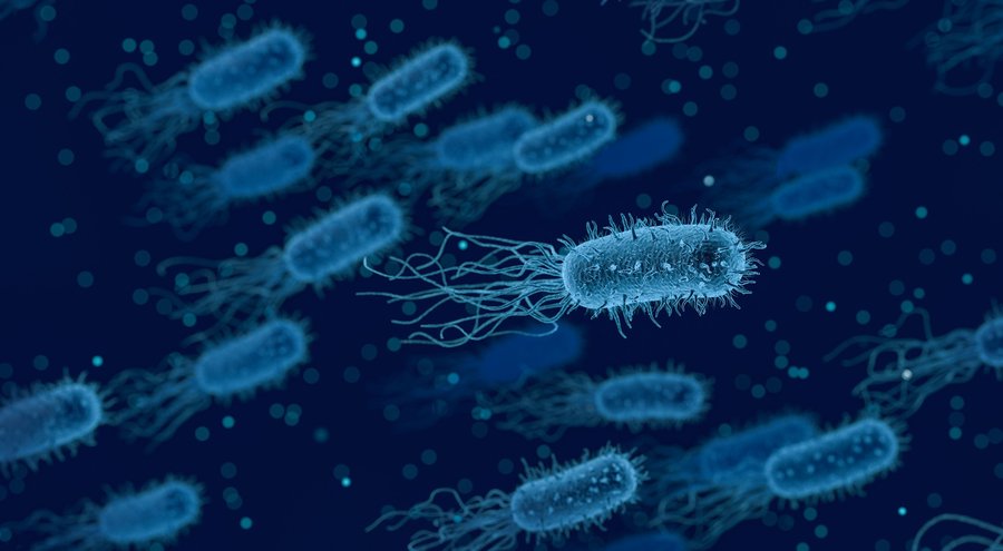 A blue picture of bacteria through a microsocpe.