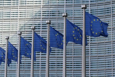 The photo shows seven EU flags flying on silver flagpoles in front of a building in the background.