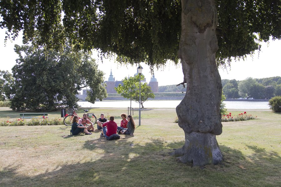 The picture shows a group of students sitting in a park by the sea in Kalmar during summer time.